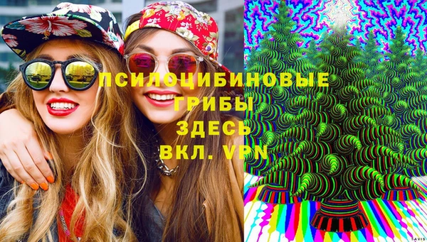 mdpv Заводоуковск