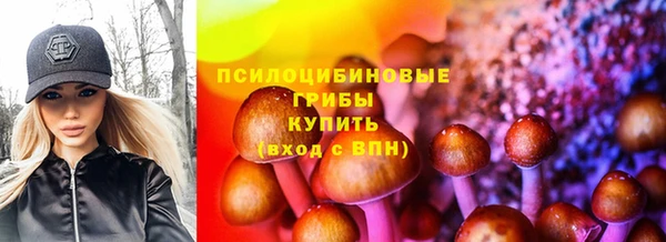 СК Заволжск