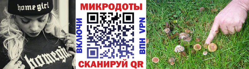 Купить закладки  Калач  Галлюциногенные грибы прущие грибы 